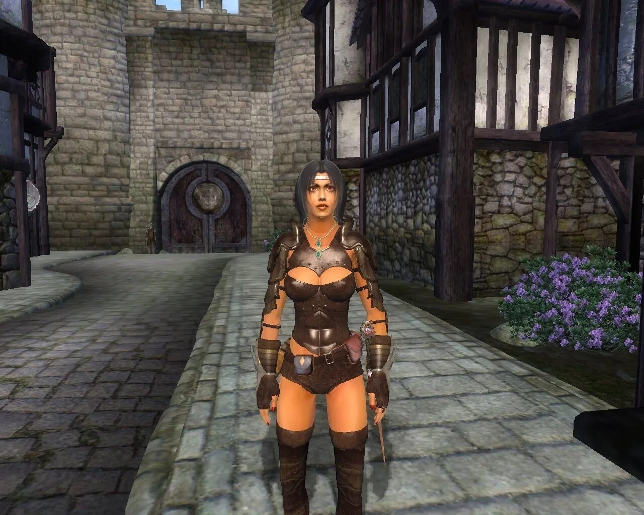 The elder scrolls 4 oblivion моды. The elder scrolls 4 oblivion моды