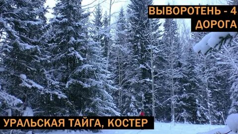 В тайге есть связь