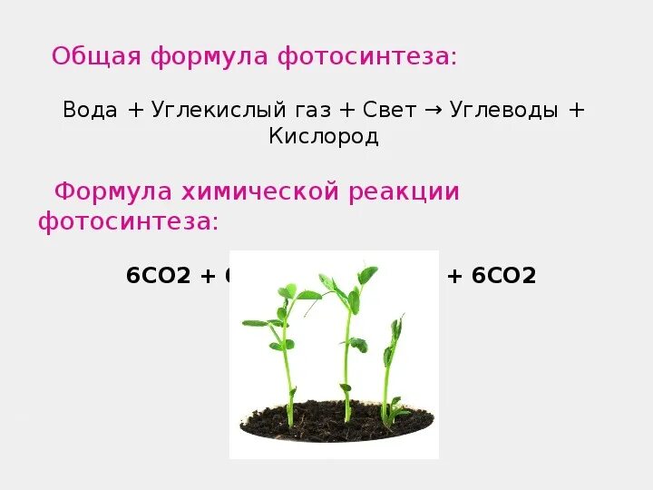 Co2 h2o фотосинтез. Суммарная реакция фотосинтеза формула. Формула фотосинтеза биология 9 класс. Суммарная формула фотосинтеза. Формула фотосинтеза 6 класс.