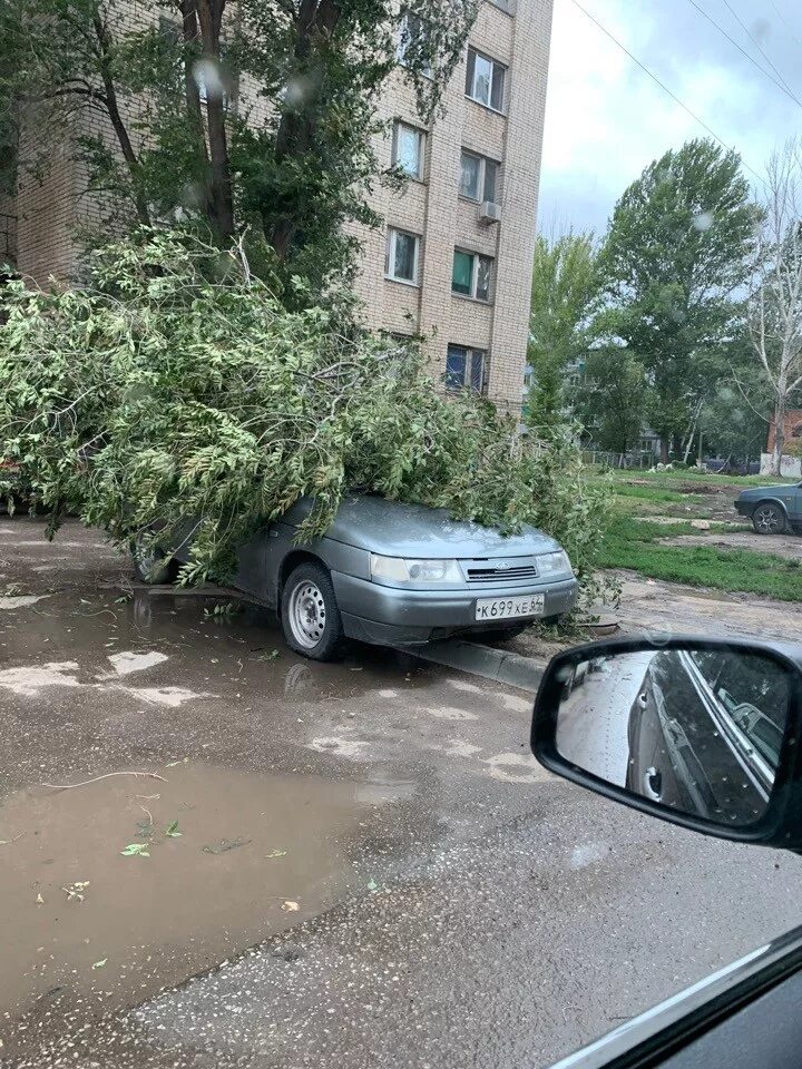 Типичный балаково новости свежие. Типичный Балаково. Балаково упало дерево. Упавшее дерево на Ленина Балаково. Упало дерево в детском саду Балаково.