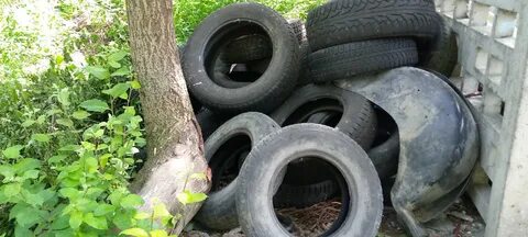 Шины петрозаводск