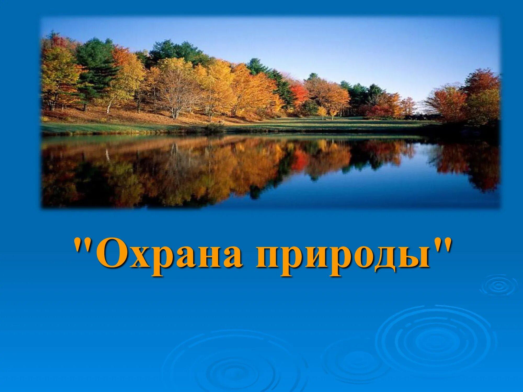 Тема охрана природы. Охрана природы в нашем крае. Охрана природы презентация. Презентация на тему природа. Презентация на тему ч