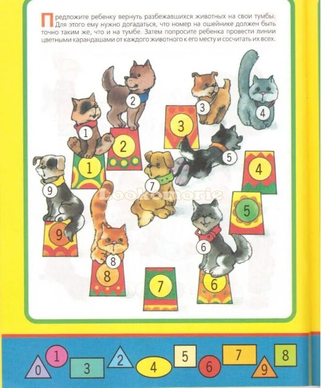 Порядковые числительные задания для дошкольников. Порядковый счет до 10 старшая группа. Математика для дошкольников порядковый счет. Порядковый счет для дошкольников. Порядковый счет для детей.