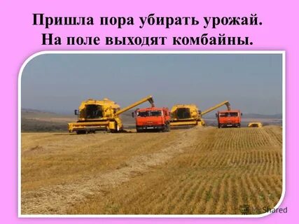 Убран урожай слова