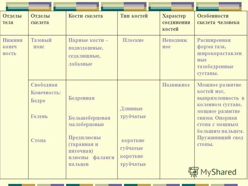 Таблица соединений кости