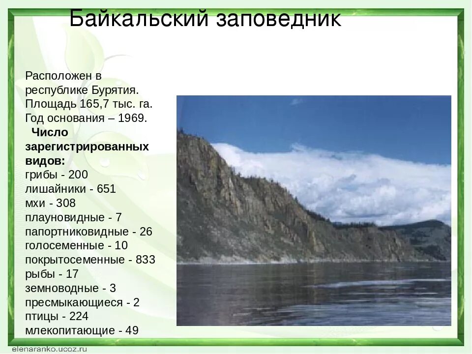 Заповедники доклад 3 класс. Сообщение о заповеднике Байкальский заповедник. Байкальский заповедник сообщение. Байкальский заповедники России кратко. Байкальский заповедник доклад.