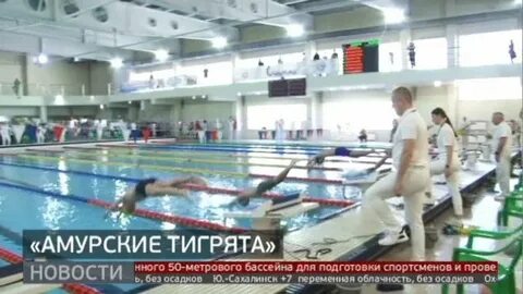 Омичка амурские тигрицы
