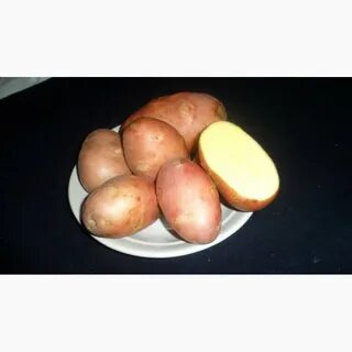 Картофель луговской