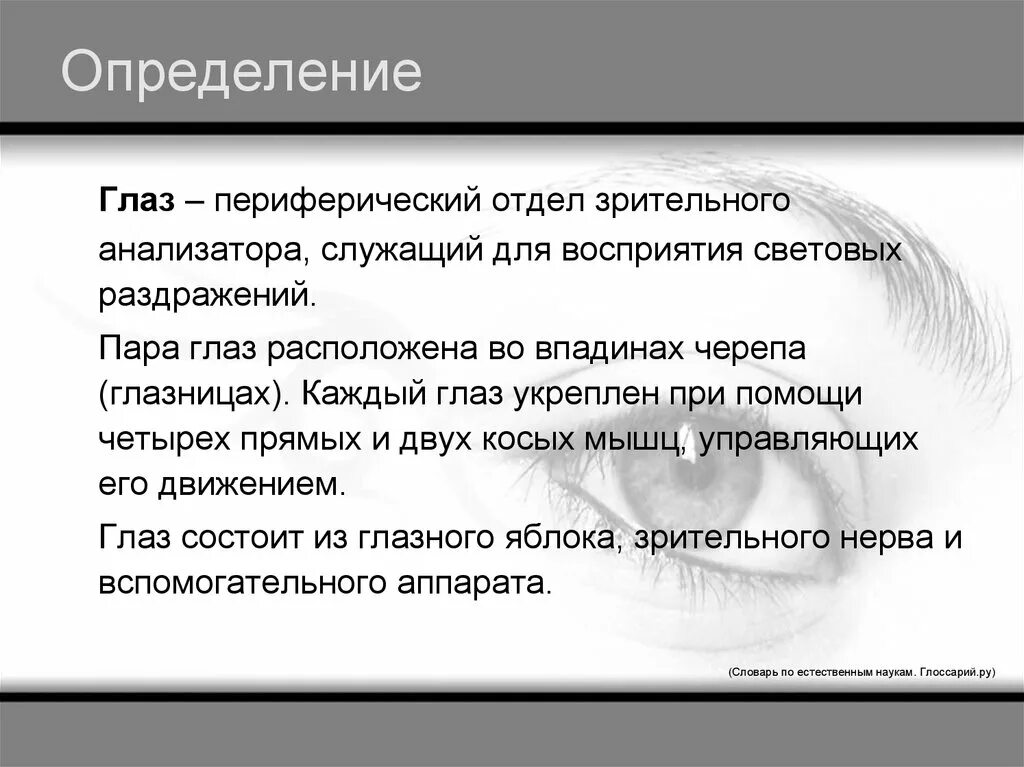 Определение глазки. Глаз это определение. Воспринимает световое раздражение. Периферический отдел глаза. Глаз определение кратко.