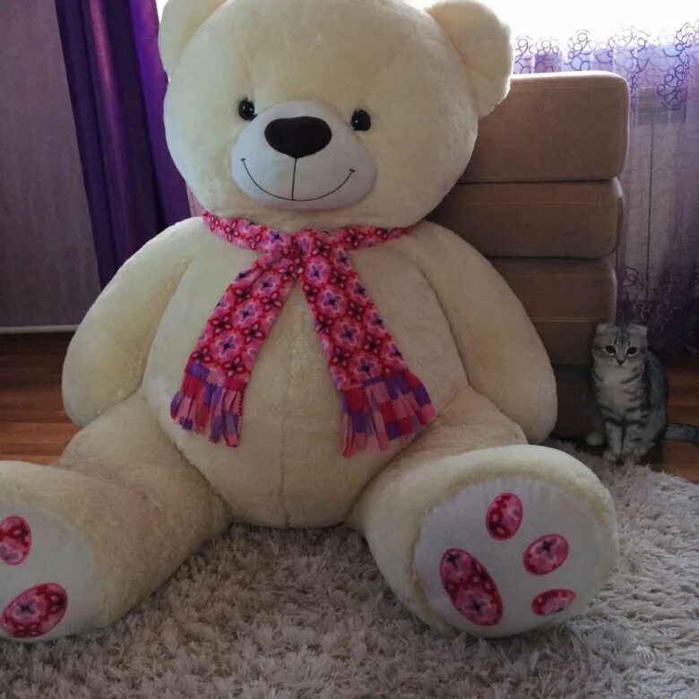 медведь игрушка дома.