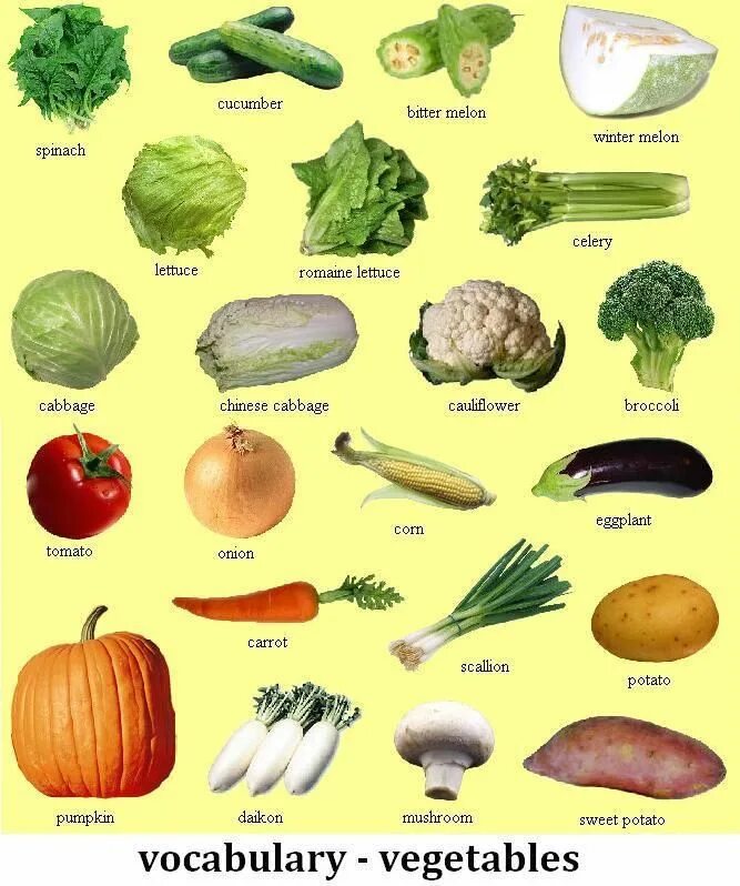 Как называются разные продукты