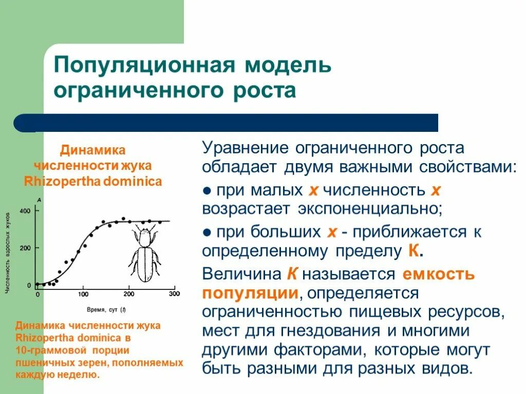 Моделирование популяции
