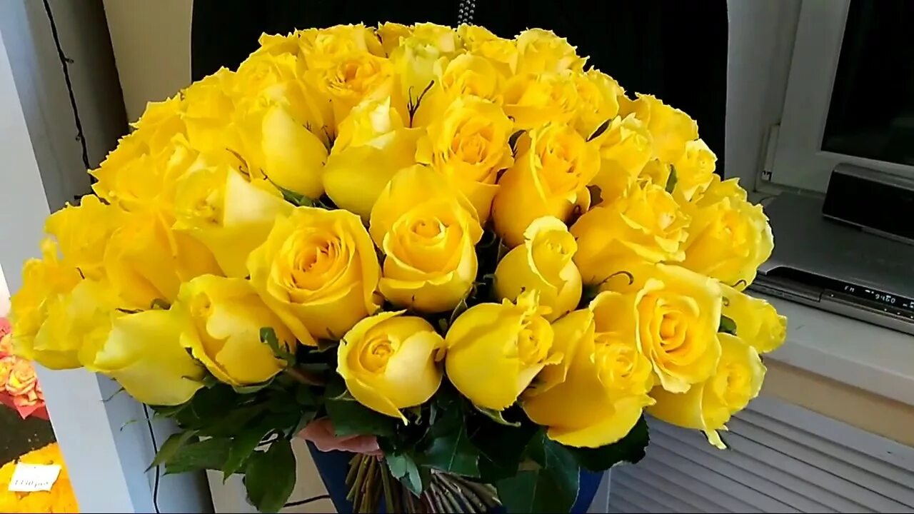 Огромные желтые букеты. Букет желтых роз. Букет из желтых роз. Красивый букет желтых роз. Желтые розы огромный букет.