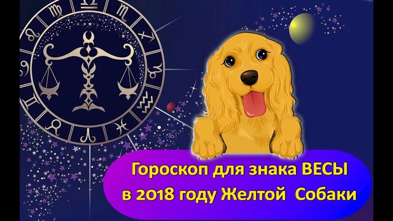 Собака гороскоп. Год собаки в астрологии. Собаки для знака зодиака весы. Собаки по знаку зодиака Стрелец.