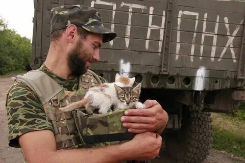 Суровые коты донбасса