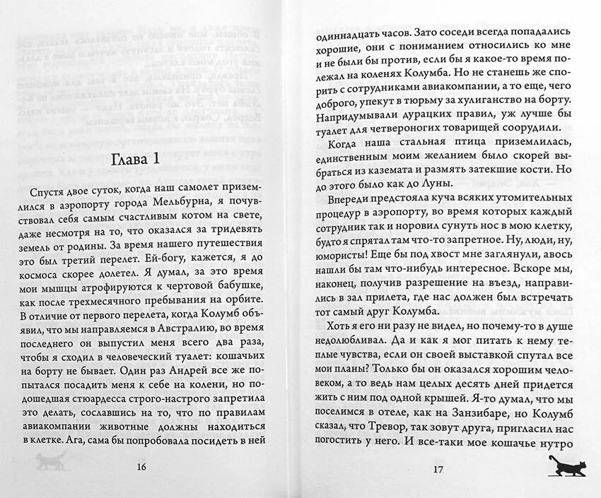 Самарский приключения кота Сократа в Австралии. Приключение кота Сократа в Австралии Крига. Самарский невероятные приключения кота Сократа цитаты. Кот сократ книга