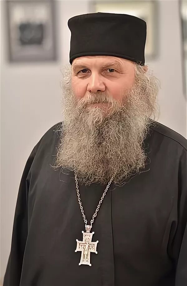 Фото монаха савватия севостьянова. Иеромонах савватий. Иеромонах савватий грудев донской монастырь. Иеромонах савватий. Владыка савватий шуя.