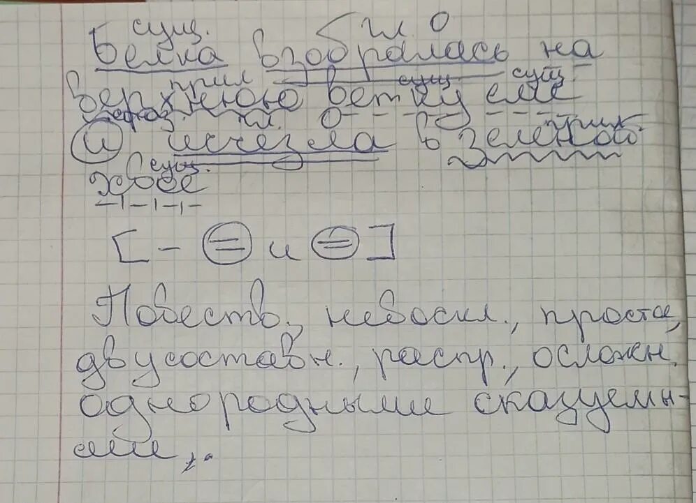 Залезть на дерево синтаксический разбор. Синтаксический и пунктуационный разбор предложения. Синтаксический разбор предложения белка. Белка синтаксический разбор.