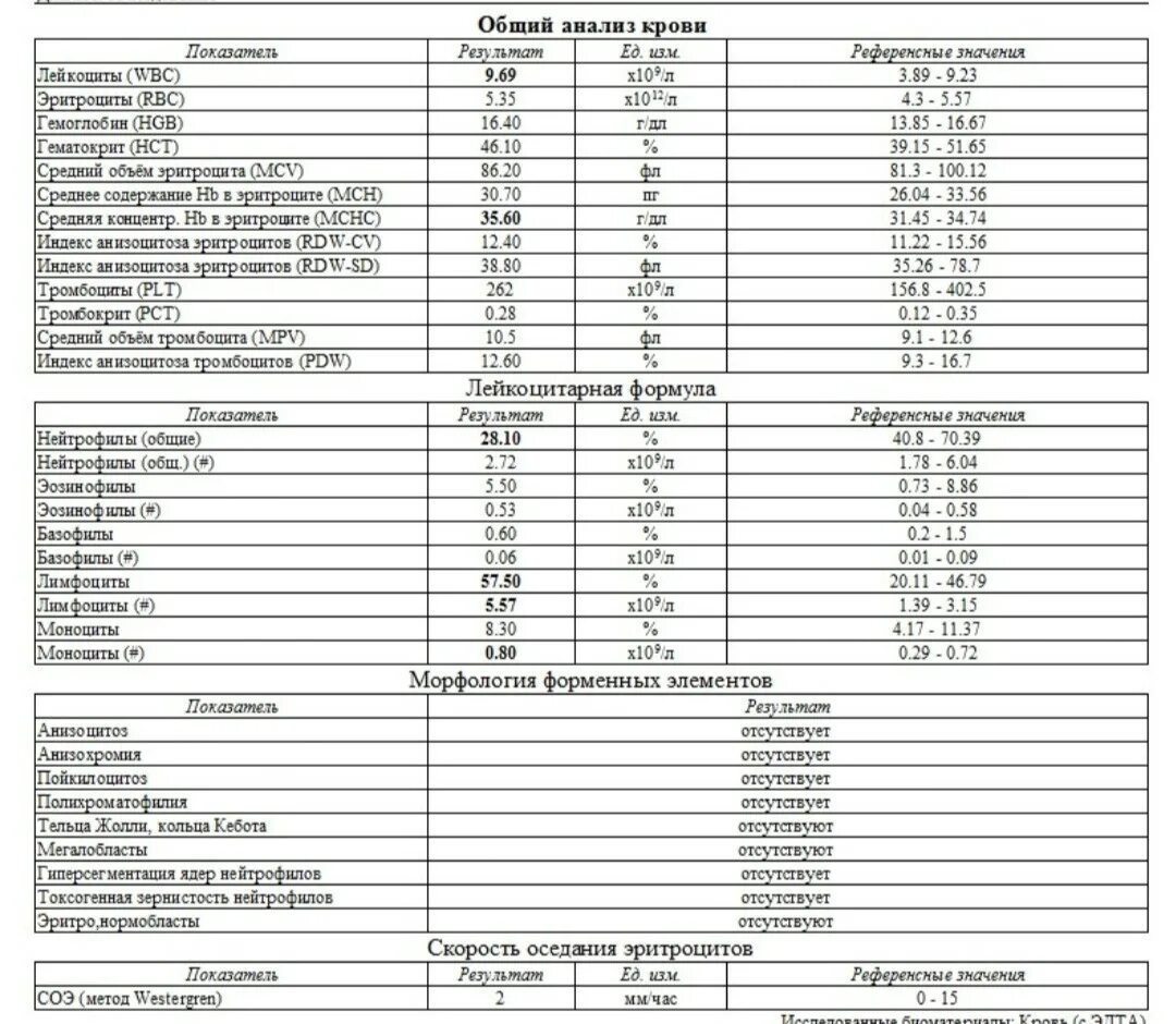 Кровь pdw повышены. Нормы крови нейтрофилы анализ крови. Лимфоциты и нейтрофилы моноциты повышены. Общий анализ крови с лейкоцитарной формулой. Лимфоциты анализ.