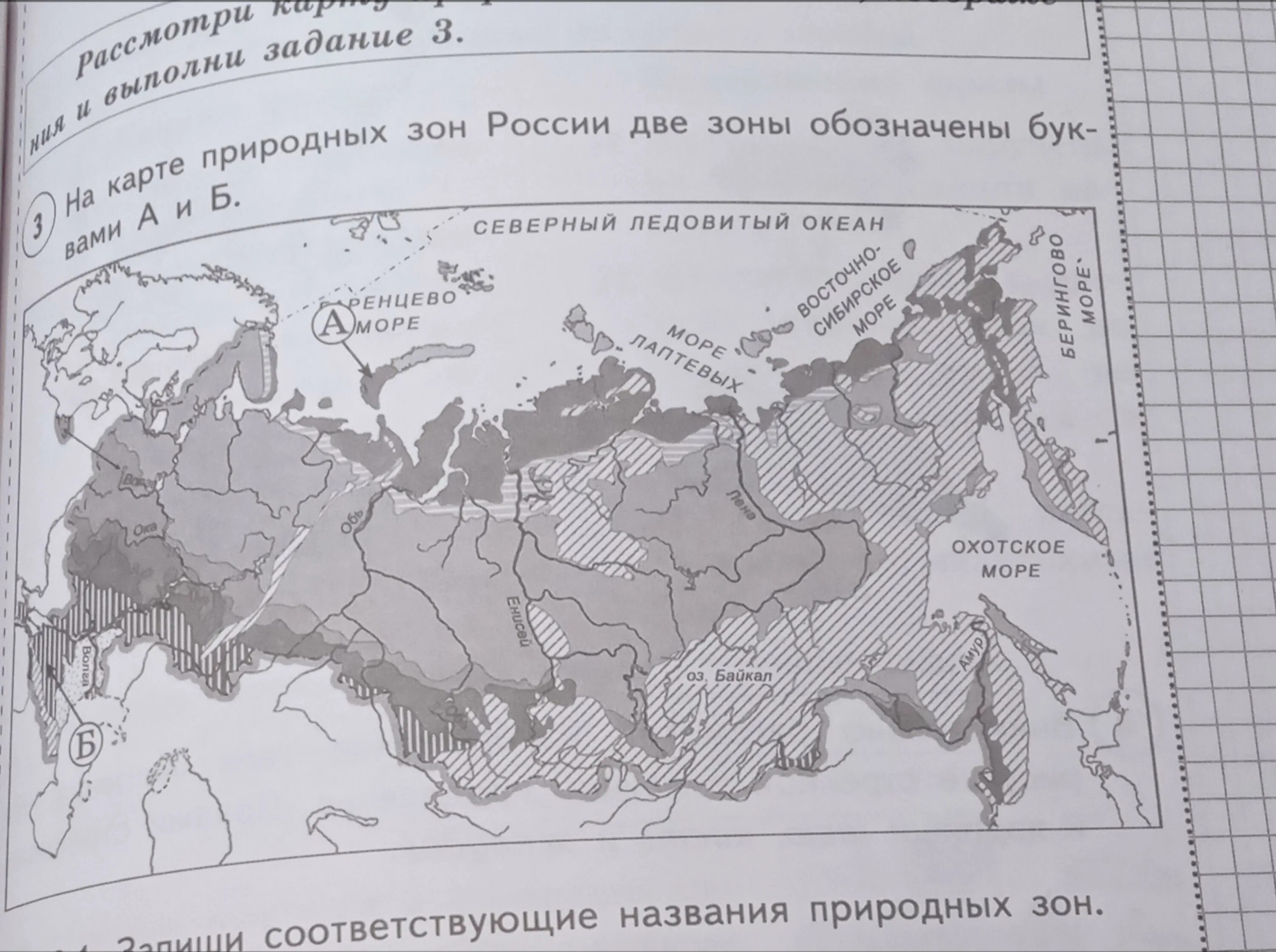 Природные зоны россии впр ответы. На карте природных зон России две зоны обозначены. Природные зоны под буквами а и б. Запиши соответствующие названия природных зон название зоны.