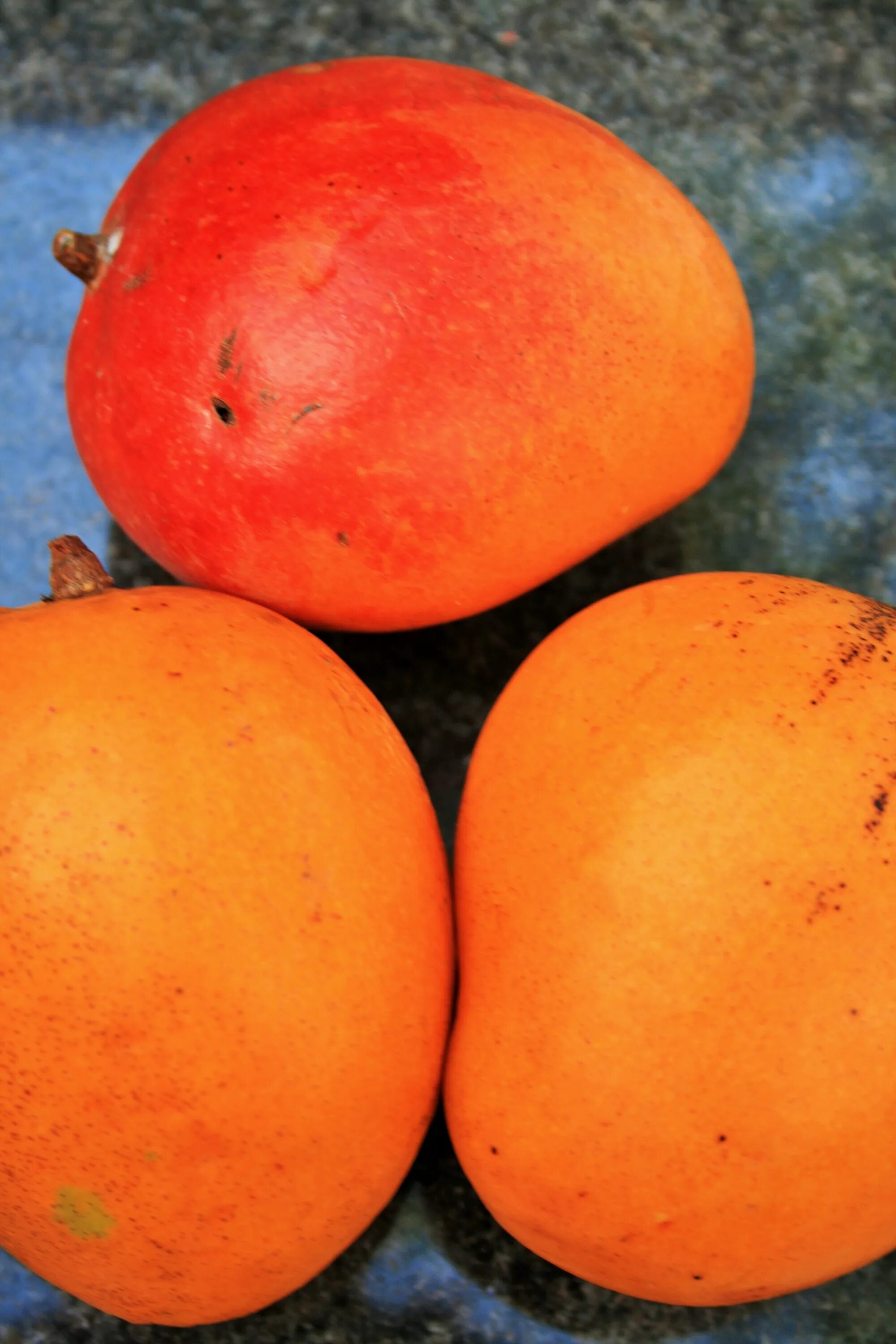 Красно желтый фрукт. Манго (фрукт). Манго оранжевый. Манго Юлима сорт. Тропические фрукты манго.