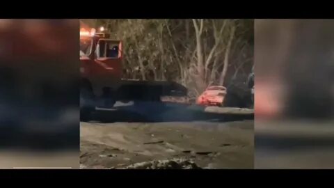 Тв волк происшествия