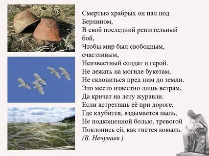 Смертью павших