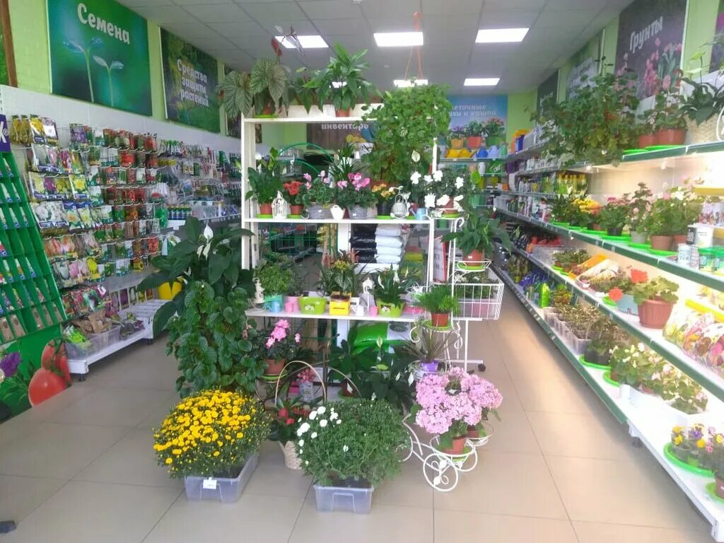 агромаркет. агромаркет 24 интернет магазин семена и саженцы. агромаркет. агромаркет 24. агромаркет.