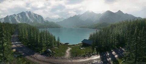 Surface environment
