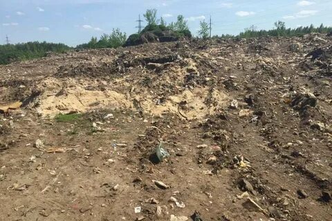 Экология региона нижегородский