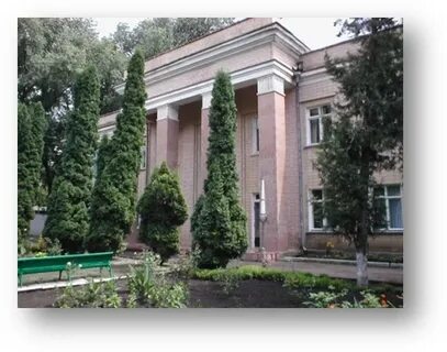Зерноград улица ленина