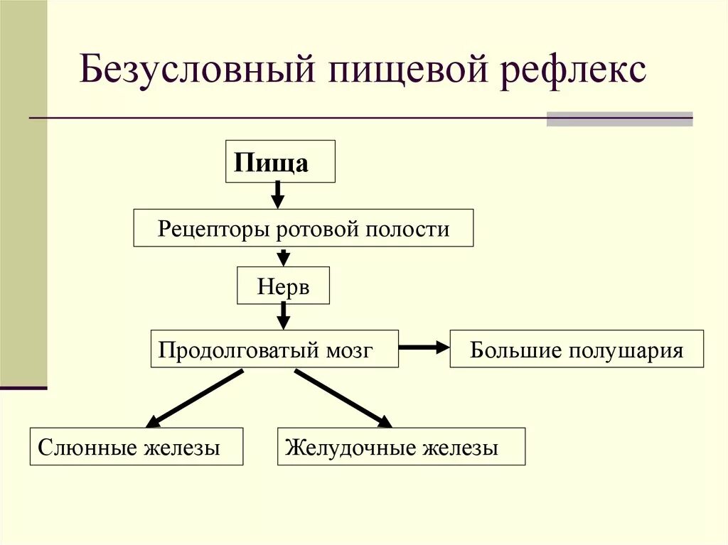 Пищевые рефлексы примеры