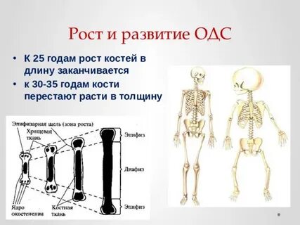 Костей начало