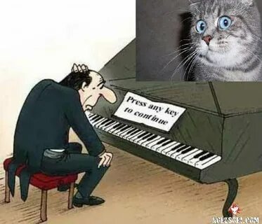 Приколы про песню