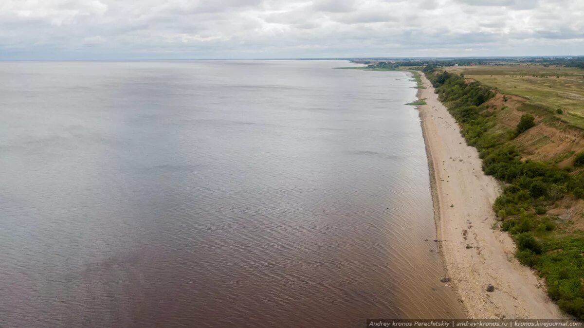 Озеро Ильмень Новгородская. Озеро Ильмень Коростынь. Озеро Ильмень Сергово. Озеро Ильмень Великий Новгород пляж. Название озера ильмень