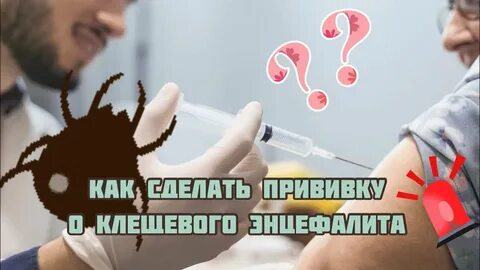 Поставить прививку от клеща в екатеринбурге детям