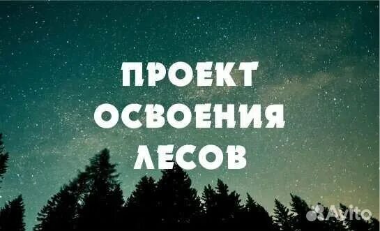 Проект освоения лесов. Изменения в проект освоения лесов. Разработка проектов освоения лесов. Готовый проект освоения лесов