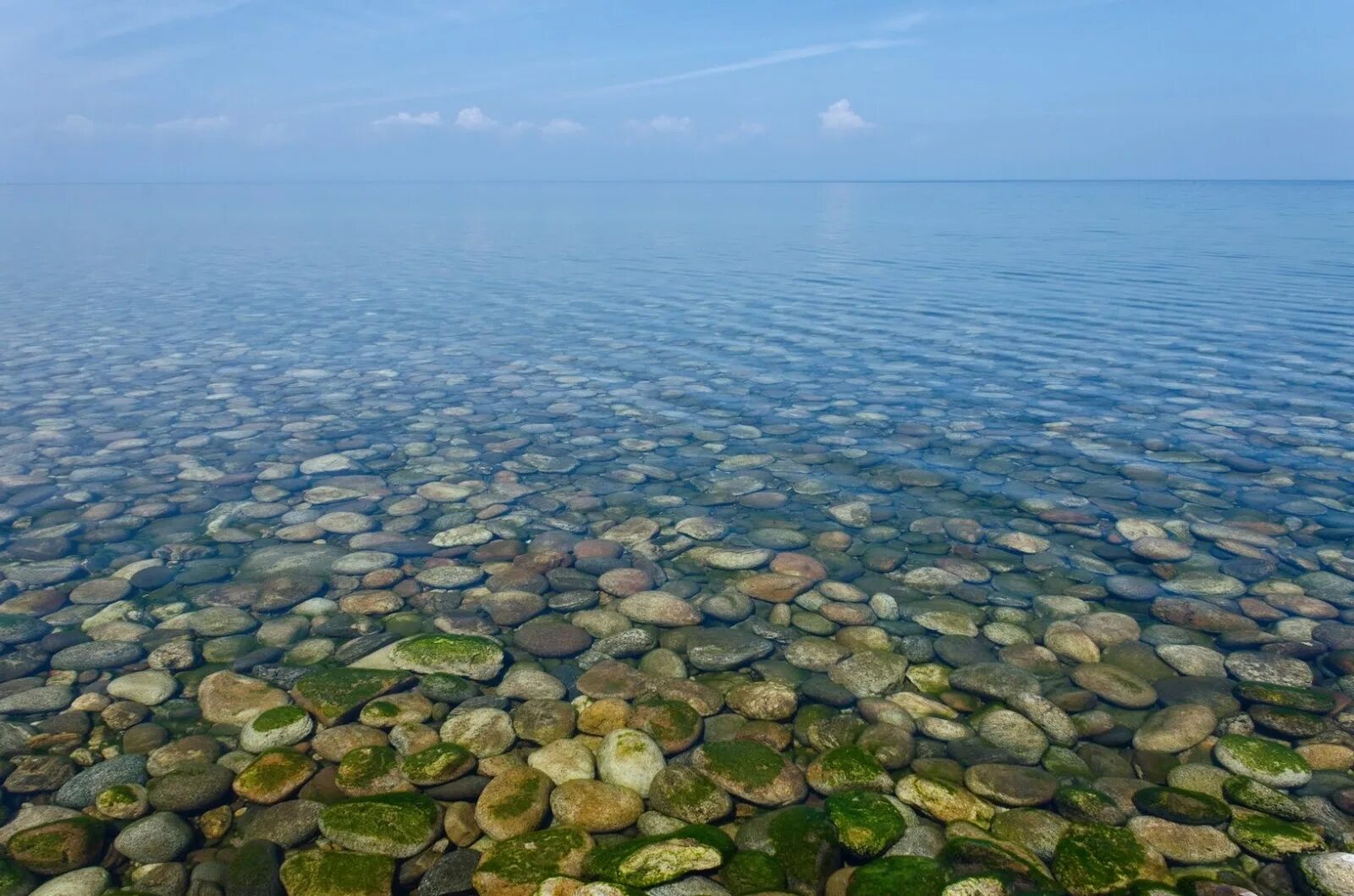 Озеро Байкал вода. Озеро Байкал прозрачная вода. Прозрачность озера Байкал. Чистая вода Байкала. Прозрачность воды в озерах