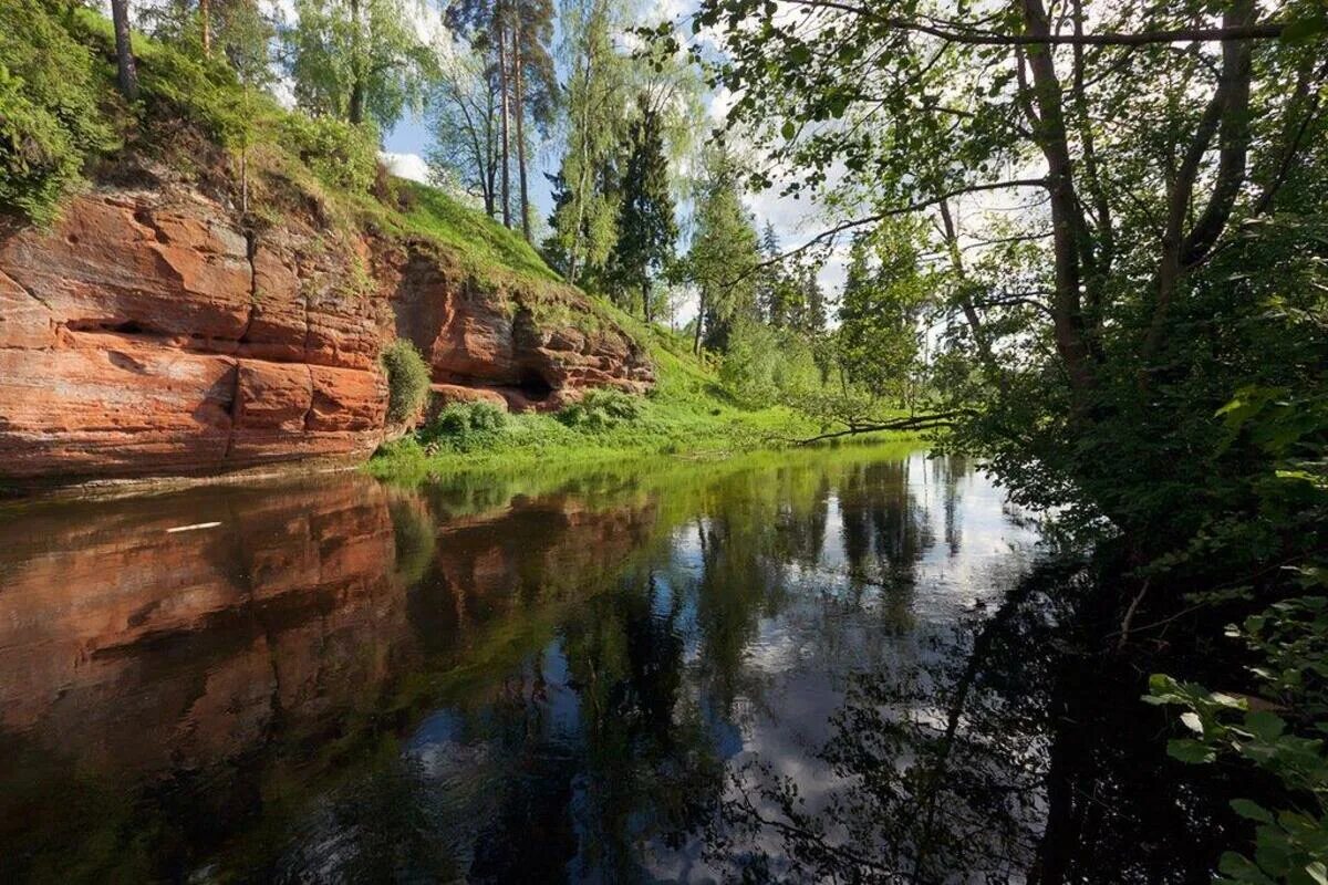 Оредеж. Река оредеж ленинградская область. каньон реки оредеж. река оредеж гатчинский район. берега реки оредеж.