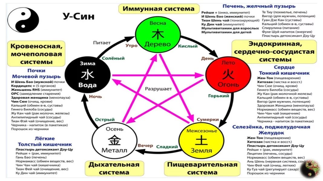 Иммунная вода. Китайская система Усин. Круг у-син 5 элементов. Пять стихий китайской философии. Таблица пяти элементов у-син.