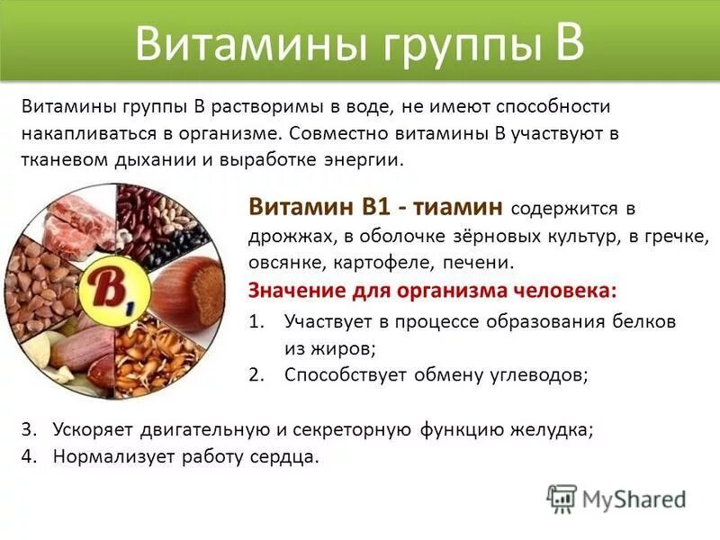 Витамин группы б для организма. Роль витамина б1 в организме человека. Витамин b1 тиамин роль в организме. Витамин б1 кратко. Физиологическая роль витамина b1.