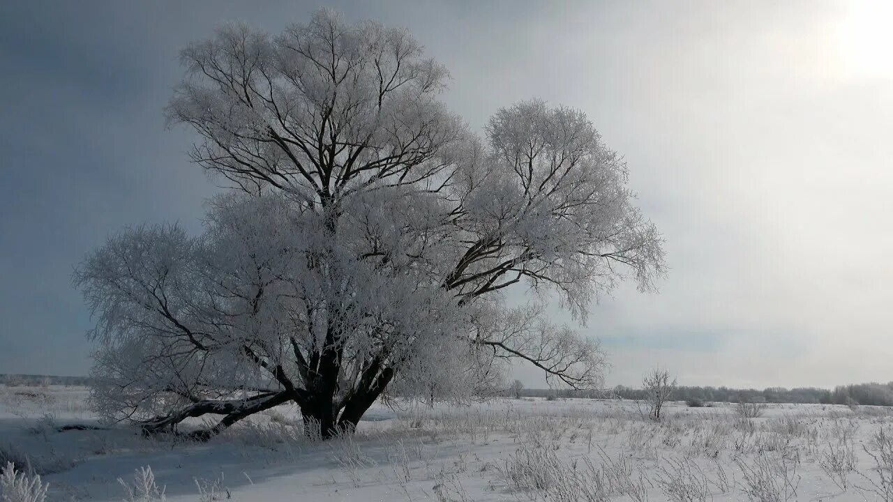 Пришел марток надевай семеро. Март марток. Марток порток. Марток семеро порток. Март марток одевай семь порток.