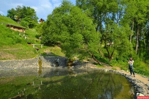 Ермолино русиново