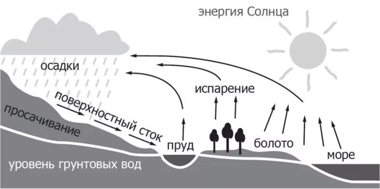 Сток и осадки. Круговорот воды в природе схема. Круговорот воды в природе 2 класс окружающий мир. Схематический круговорот воды в природе. Круговорот воды в природе распечатка.