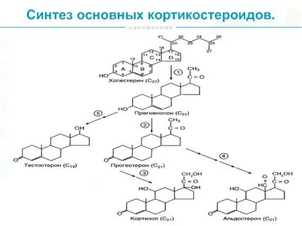 Основной синтез
