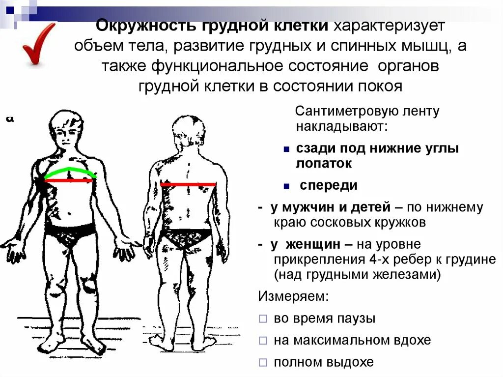 Алгоритм массы тела