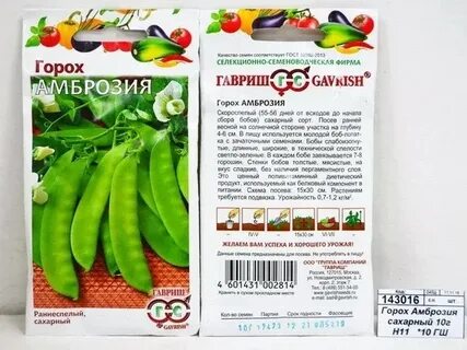 Горох описание
