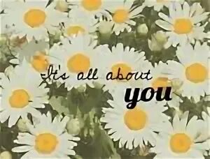 It s all about you. It&#039;s all about treo. its all about you. it&#039;s all about you картинки. munya its all about you.