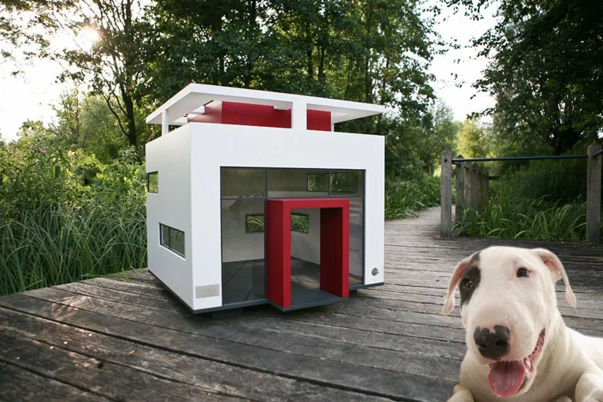 Стильная будка для собаки. Современные будки для собак. Необычные собачьи будки. Необычные домики для собак.