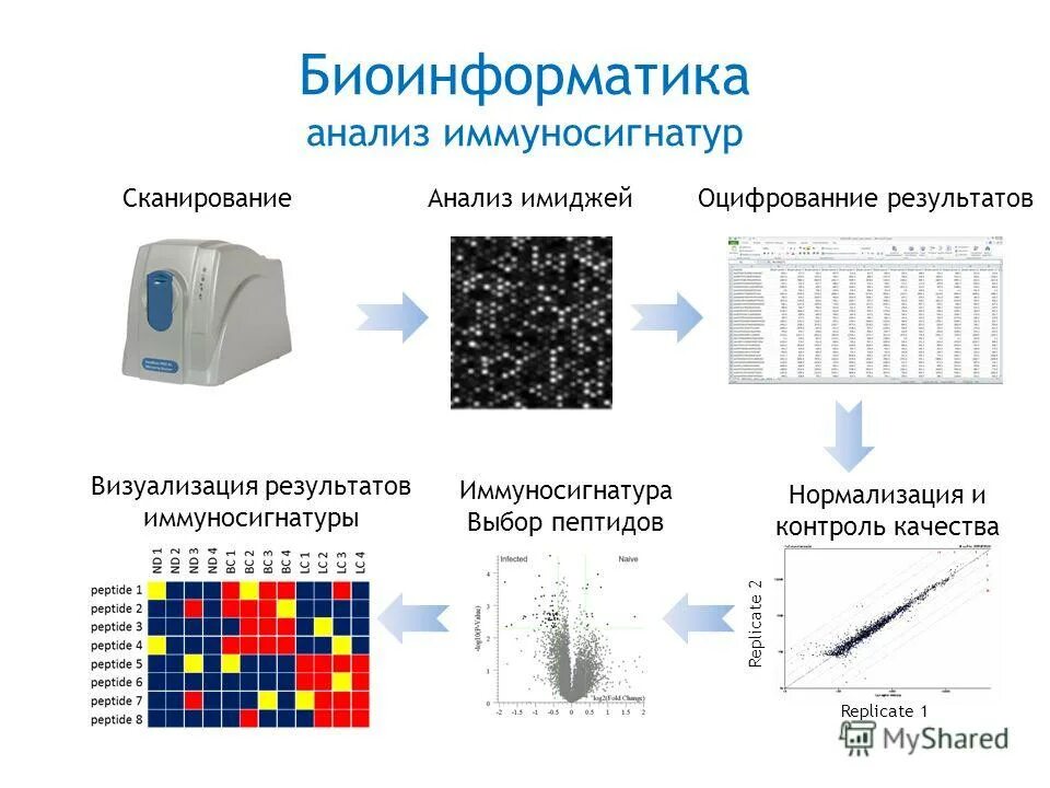 Визуализация аналитических данных. Визуализация результатов исследований. Визуализация результатов. Исследование аналитика. Расчет гидродинамического моделирования.